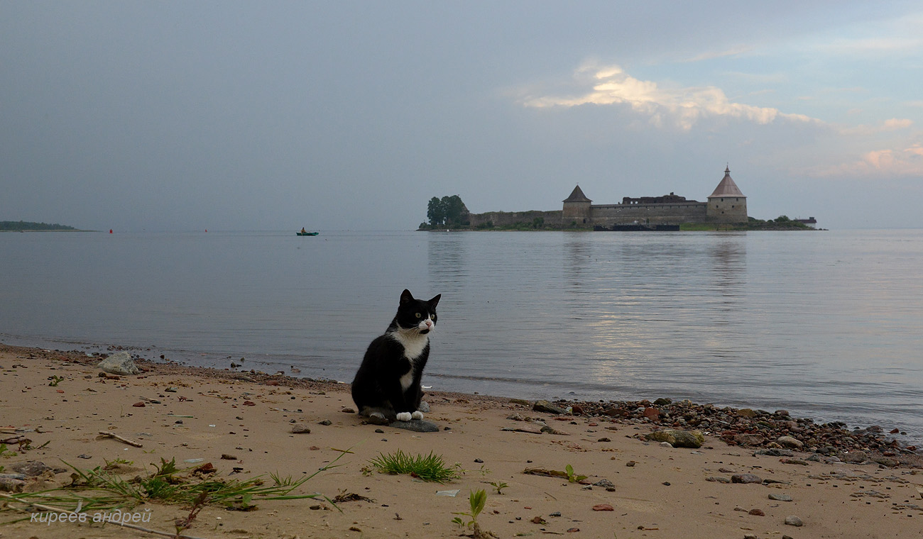 Shlisselburg (Шлисельбург - Орешек)